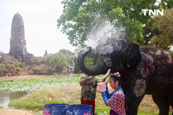 รูป-สีสันกรุงเก่า ช้าง 10 เชือกเพนต์ลายสวยงาม ร่วมเล่นน้ำรับมหาสงกรานต์อยุธยาปี 69-23