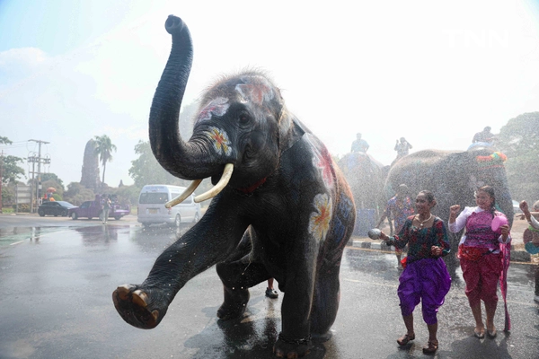 รูป-สีสันกรุงเก่า ช้าง 10 เชือกเพนต์ลายสวยงาม ร่วมเล่นน้ำรับมหาสงกรานต์อยุธยาปี 69-17
