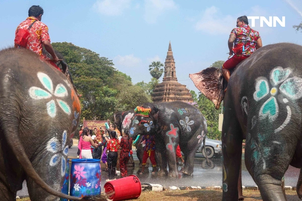 รูป-สีสันกรุงเก่า ช้าง 10 เชือกเพนต์ลายสวยงาม ร่วมเล่นน้ำรับมหาสงกรานต์อยุธยาปี 69-15
