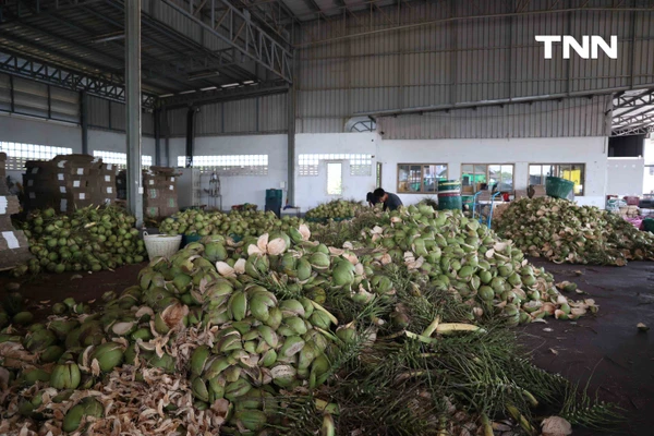 รูป-ดอยคำ ผนึก พี วาย ไทยฟรุต แก้วิกฤตมะพร้าวล้นตลาดราชบุรี พยุงรายได้เกษตรกร-7