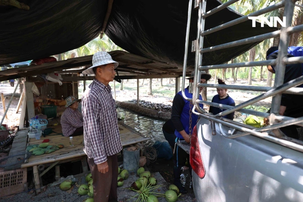 รูป-ดอยคำ ผนึก พี วาย ไทยฟรุต แก้วิกฤตมะพร้าวล้นตลาดราชบุรี พยุงรายได้เกษตรกร-9