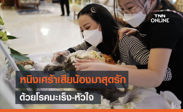 "หนิง ปณิตา" เศร้าเสียน้องหมาสุดรักด้วยโรคสู้มะเร็ง-หัวใจ