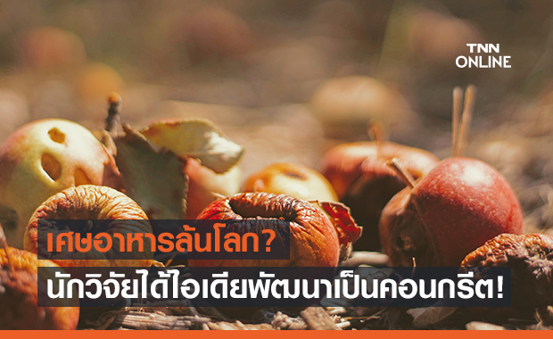 ไอเดียรีไซเคิลเศษอาหาร กลายเป็นคอนกรีตแข็งแรง แต่กินได้!