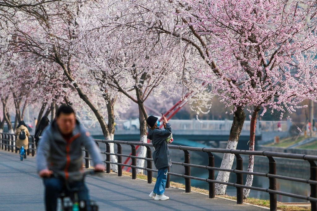 จีนจัดมหกรรมบุปผชาติร่วมฉลอง 100 ปีพรรคคอมมิวนิสต์ ตอน 2 โดย ดร.ไพจิตร วิบูลย์ธนสาร