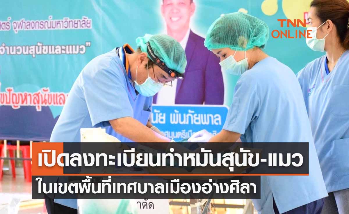เทศบาลเมืองอ่างศิลา-คณะสัตวแพทย์จุฬาฯ เปิดลงทะเบียนทำหมันสุนัข-แมว