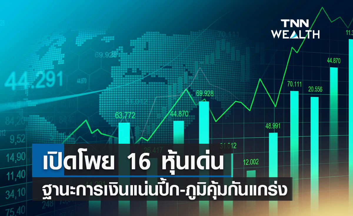 เปิดโพย 16 หุ้นเด่นฐานะการเงินแน่นปึ้ก-ภูมิคุ้มกันแกร่ง 