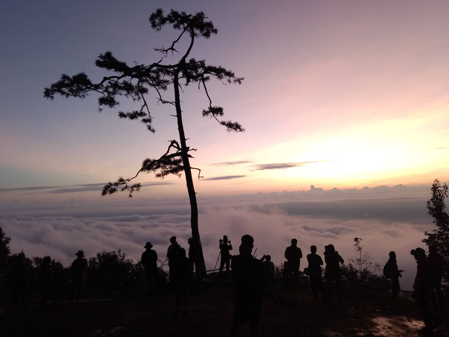 ครม.เห็นชอบเสนอภูกระดึง ภูเขียว น้ำหนาว ให้เป็นอุทยานมรดกแห่งอาเซียน ครม.เห็นชอบเสนอภูกระดึง ภูเขียว น้ำหนาว ให้เป็นอุทยานมรดกแห่งอาเซียน