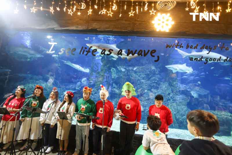 ซานต้าให้อาหารฉลาม ร่วมต้อนรับเทศกาล “คริสต์มาส” ซานต้าให้อาหารฉลาม ร่วมต้อนรับเทศกาล “คริสต์มาส”