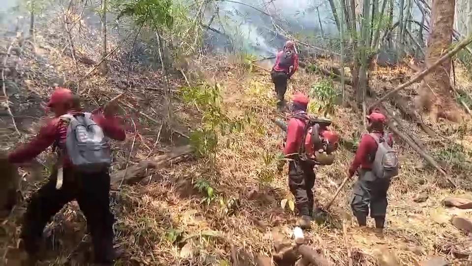 เชียงใหม่แย่สุดอันดับ 4 ของโลก-พบจุดความร้อนเช้านี้ 264 จุด เชียงใหม่แย่สุดอันดับ 4 ของโลก-พบจุดความร้อนเช้านี้ 264 จุด