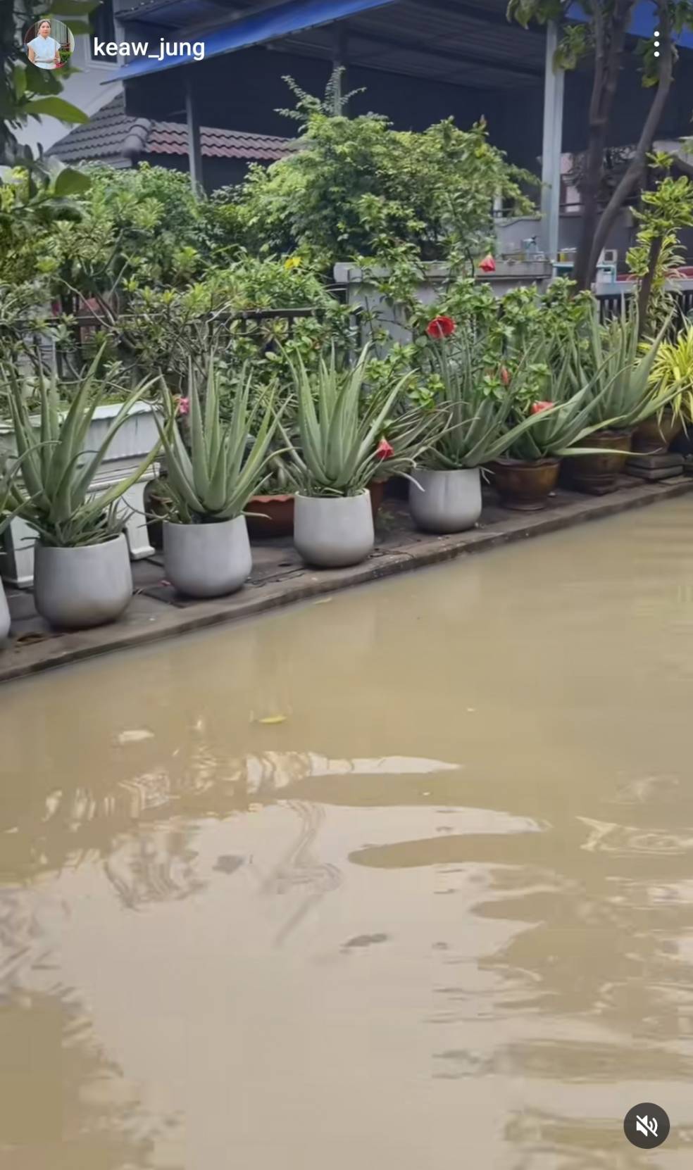 “แม่แก้ว” เปิดภาพน้ำท่วมบ้าน “ณเดชน์ ” ที่ขอนแก่น “แม่แก้ว” เปิดภาพน้ำท่วมบ้าน “ณเดชน์ ” ที่ขอนแก่น