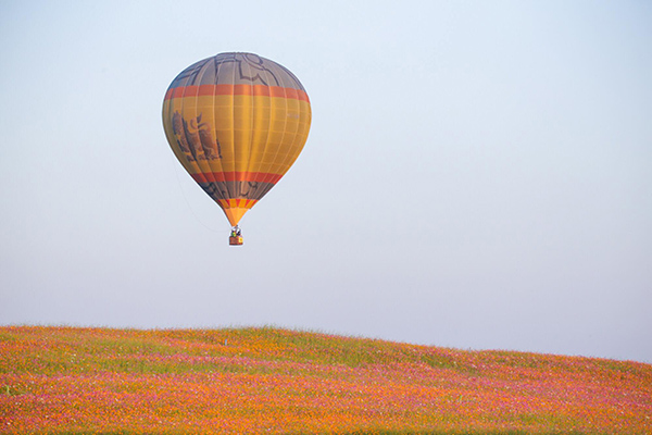 15 ที่เที่ยวเชียงราย 2565 แอ่วเมืองเหนือ สุดเขตแดนสยาม 15 ที่เที่ยวเชียงราย 2565 แอ่วเมืองเหนือ สุดเขตแดนสยาม