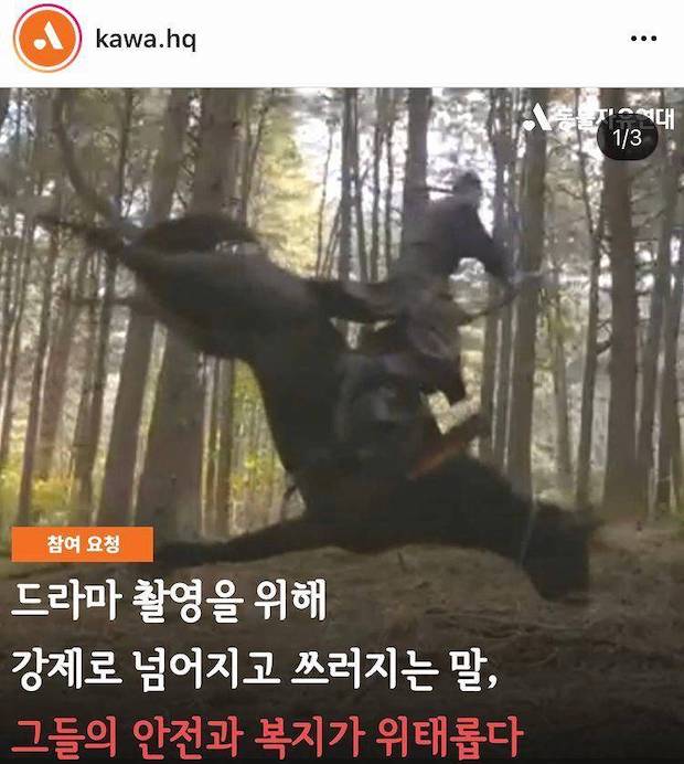 ทารุณกรรมสัตว์?!! ชาวเน็ตร้องเรียนซีรีส์จีนเรื่องดังทำม้าเข้าฉากเสี่ยงชีวิต ทารุณกรรมสัตว์?!! ชาวเน็ตร้องเรียนซีรีส์จีนเรื่องดังทำม้าเข้าฉากเสี่ยงชีวิต