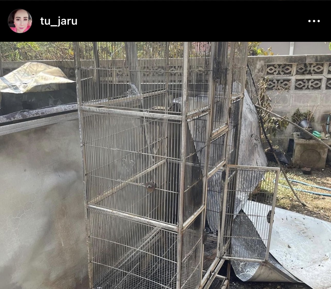 ตู่ จารุศิริ ช็อกบ้านไฟไหม้ ซึ้งใจขอบคุณทุกคนที่ช่วยเหลือ ตู่ จารุศิริ ช็อกบ้านไฟไหม้ ซึ้งใจขอบคุณทุกคนที่ช่วยเหลือ