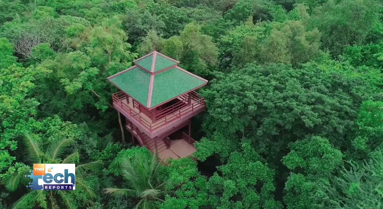 ผสาน 3 เทคโนโลยี ฟื้นฟูป่าบางกะเจ้า พื้นที่ปอดสุดท้ายในเมือง