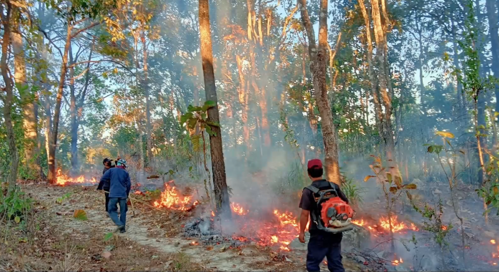 ฝุ่น PM 2.5 เชียงใหม่พุ่ง! 3 อำเภอเตือนระดับสีแดง จุดความร้อนลามไม่หยุด ฝุ่น PM 2.5 เชียงใหม่พุ่ง! 3 อำเภอเตือนระดับสีแดง จุดความร้อนลามไม่หยุด