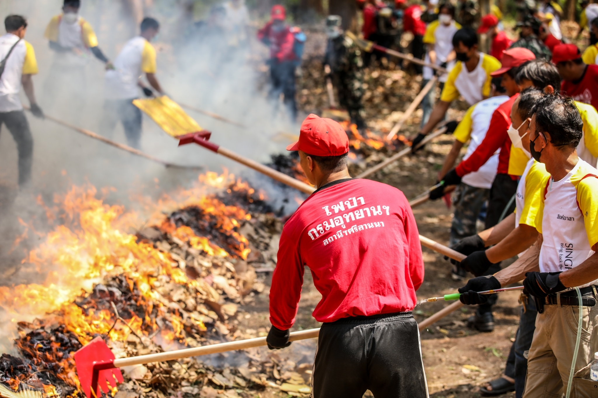 สิงห์อาสา จับมือเครือข่ายฯ ป้องกันไฟป่า 14 จังหวัด พื้นที่เสี่ยงทั่วประเทศ พร้อมขยายผล “ห้องเรียนปลอดฝุ่น” สิงห์อาสา จับมือเครือข่ายฯ ป้องกันไฟป่า 14 จังหวัด พื้นที่เสี่ยงทั่วประเทศ พร้อมขยายผล “ห้องเรียนปลอดฝุ่น”