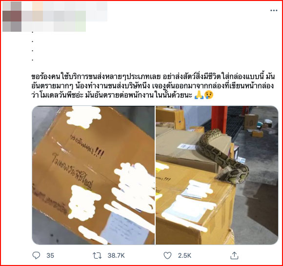 ผงะ! กล่องพัสดุจ่าหน้าส่ง ‘โมเดลวันพีซ’ แต่ข้างในเป็นงูเหลือมตัวเบิ้ม