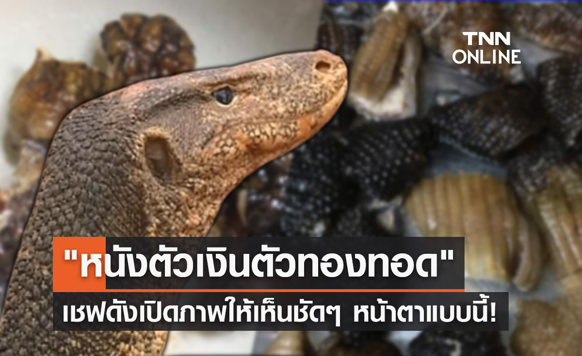 เชฟดังเปิดภาพ "หนังตัวเงินตัวทองทอด" ดูให้ชัดๆ หน้าตาเป็นแบบนี้?