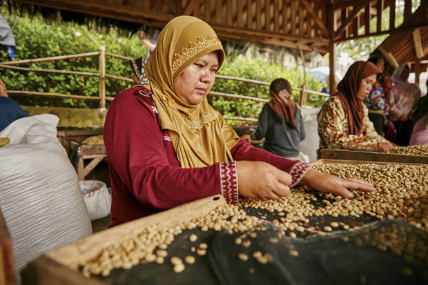 “เนสเพรสโซ” จากเมล็ดพันธุ์กาแฟสู่เมล็ดพันธุ์แห่งความยั่งยืนของโลกในอนาคต