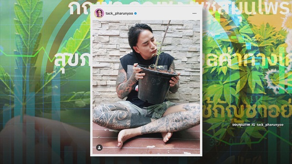 9 มิ.ย. ปลดล็อกกัญชาวันแรก “สรยุทธ-ไบรท์-แทค-โจอี้บอย-มาลีฮวนน่า” ตื่นตัว   (มีคลิป)