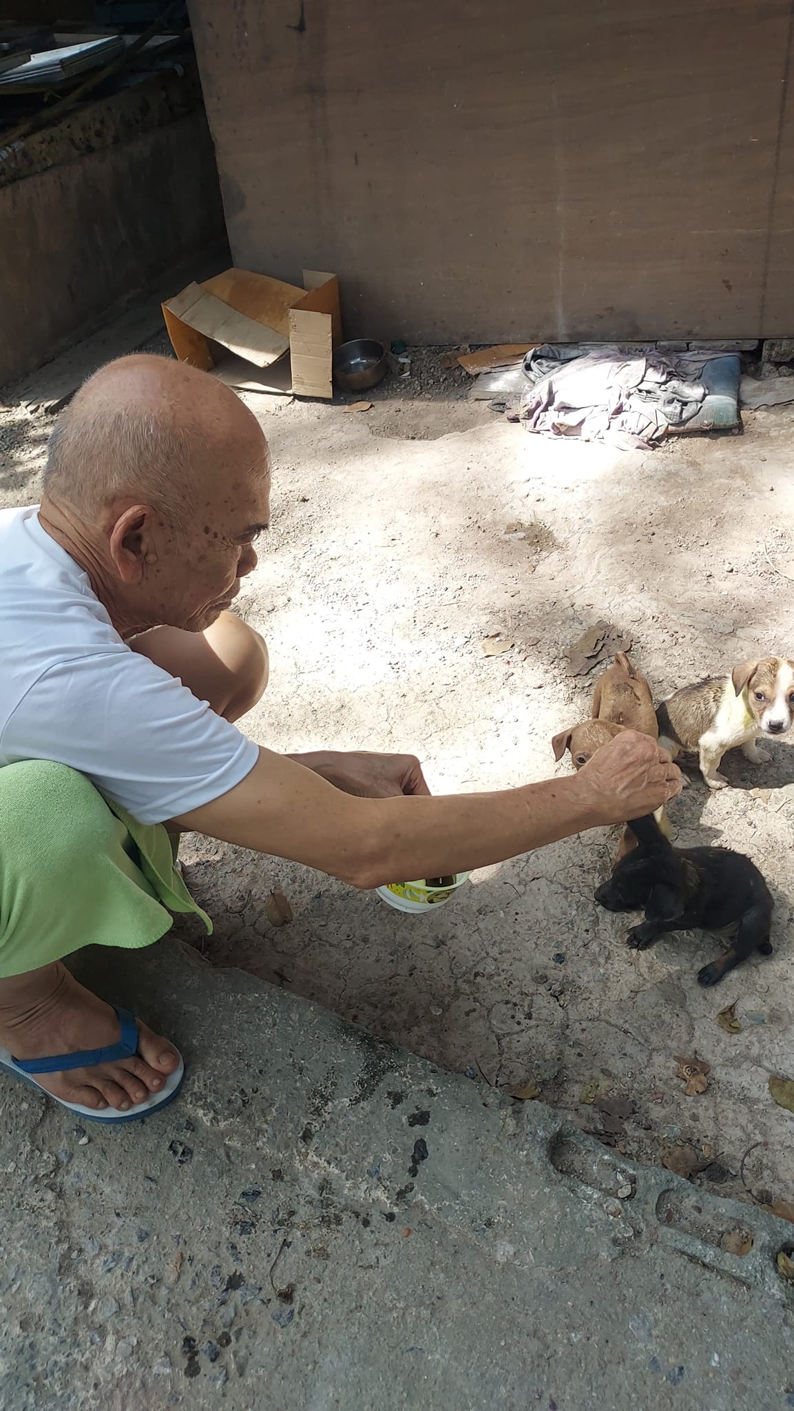 ป๋าเทพ โพธิ์งาม ชี้แจง ไม่ได้ตกอับ หลังประกาศขายทีดิน13 ไร่ ป๋าเทพ โพธิ์งาม ชี้แจง ไม่ได้ตกอับ หลังประกาศขายทีดิน13 ไร่