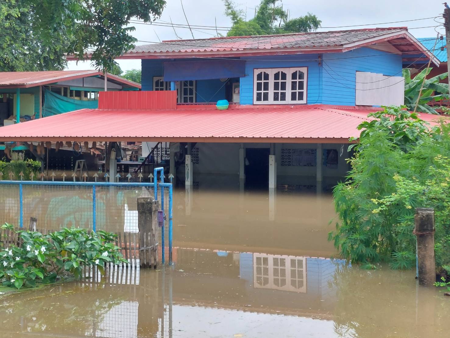 เขื่อนเจ้าพระยา ระบายน้ำเพิ่ม! ชาวชัยนาทน้ำท่วมบางจุดสูงกว่า 1 เมตรแล้ว