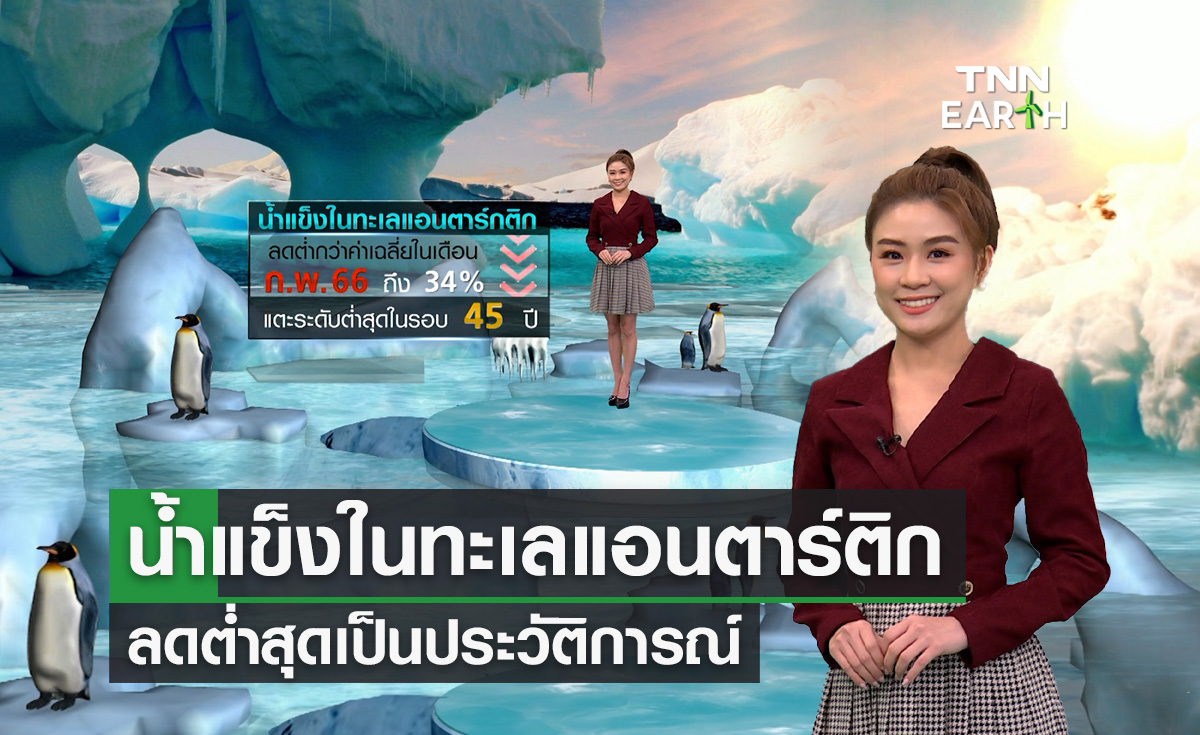 น้ำแข็งในทะเลแอนตาร์กติก ลดต่ำสุดเป็นประวัติการณ์