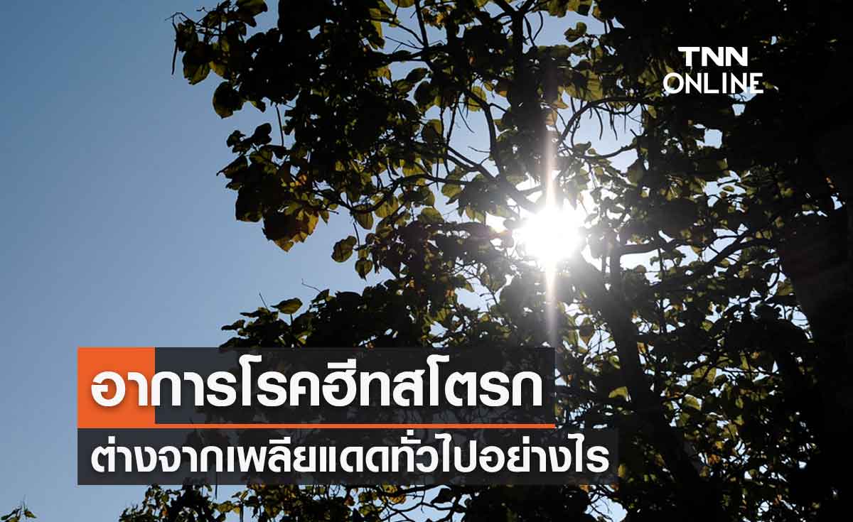 เช็กด่วนช่วงหน้าร้อน! อาการโรคฮีทสโตรกต่างจากเพลียแดดทั่วไปอย่างไร