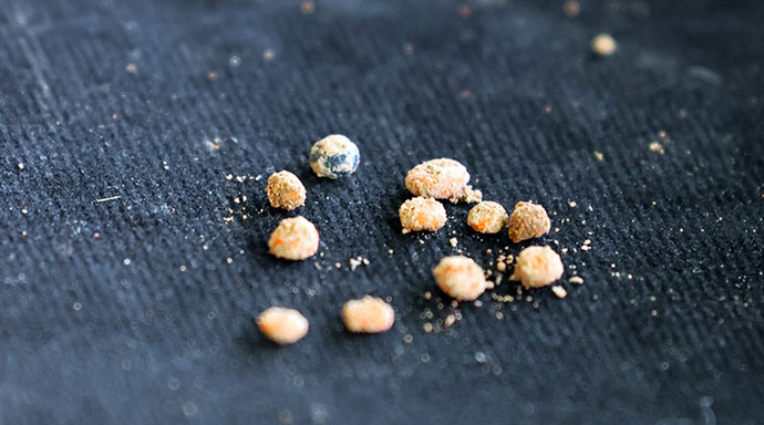 แลนด์มาร์คใหม่โคราช! แหล่งขุดพบโครงกระดูกมนุษย์โบราณ 2 พันปี แลนด์มาร์คใหม่โคราช! แหล่งขุดพบโครงกระดูกมนุษย์โบราณ 2 พันปี