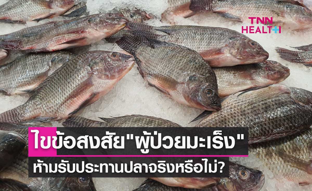 ไขข้อสงสัย "ผู้ป่วยโรคมะเร็ง" ห้ามรับประทานปลา จริงหรือไม่?
