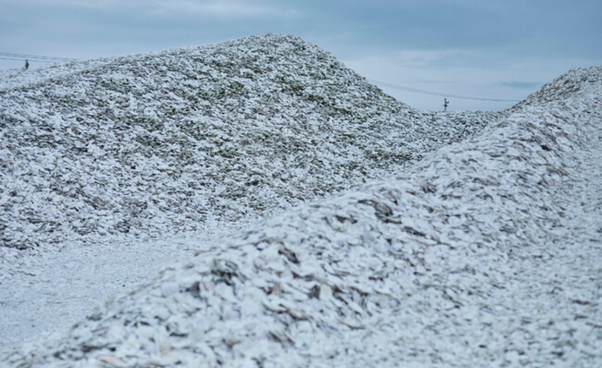 HOTAMET หมวกกันน็อคจากเปลือกหอย ไอเดียจากสตาร์ตอัปสัญชาติญี่ปุ่น HOTAMET หมวกกันน็อคจากเปลือกหอย ไอเดียจากสตาร์ตอัปสัญชาติญี่ปุ่น