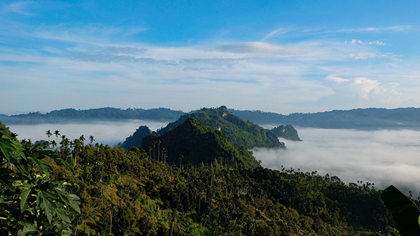 12 ที่เที่ยวระนอง 2565 สัมผัสเมืองรอง อันซีนทะเลอันดามัน 12 ที่เที่ยวระนอง 2565 สัมผัสเมืองรอง อันซีนทะเลอันดามัน