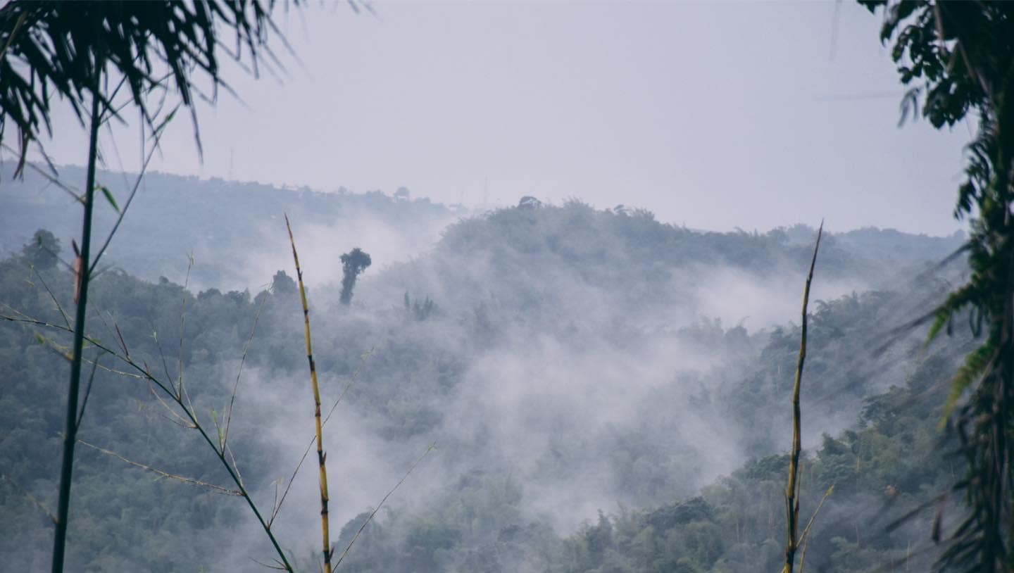 ที่เที่ยววังน้ำเขียว นทท.แห่ชมทะเลหมอกเขาแผงม้า-ทุ่งฟลอร่า ที่เที่ยววังน้ำเขียว นทท.แห่ชมทะเลหมอกเขาแผงม้า-ทุ่งฟลอร่า