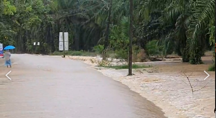 ด่วน! ชุมพรน้ำท่วมแล้ว 4 อำเภอ-เตือนพื้นที่น้ำหลากขนของไว้ที่สูง