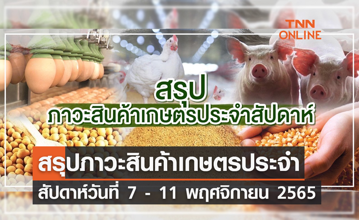 สรุปภาวะสินค้าเกษตรประจำสัปดาห์ วันที่ 7 - 11 พฤศจิกายน 2565