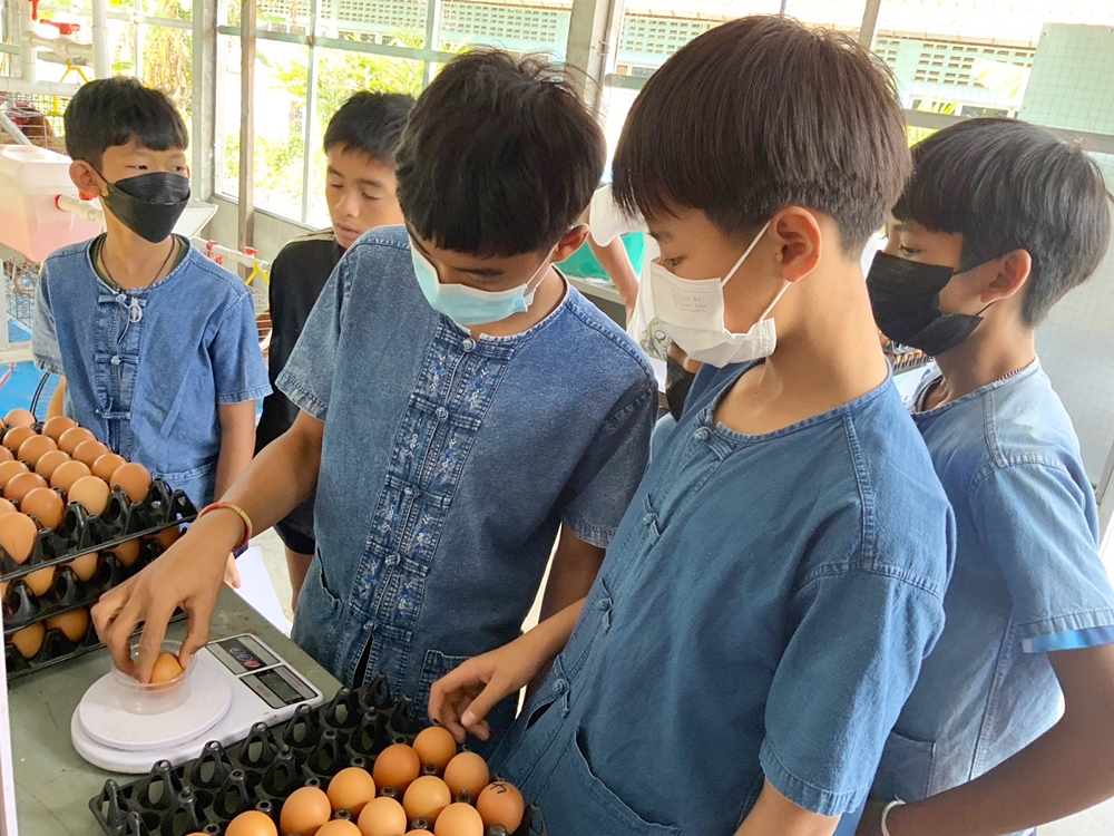 “โครงการเลี้ยงไก่ไข่เพื่ออาหารกลางวันนักเรียน”  คลังอาหารของน้องๆ ร.ร.เวียงห้าววิทยา จ. เชียงราย