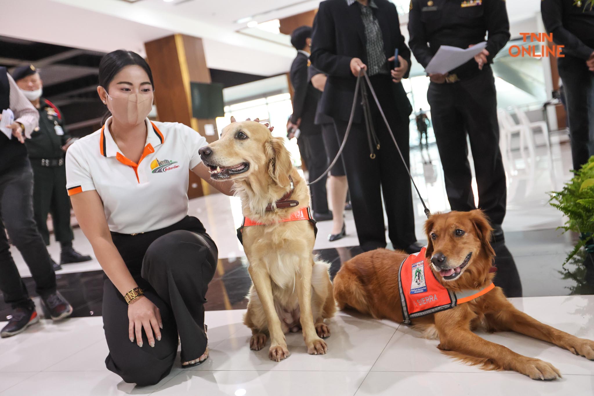 อวดความน่ารัก เซียร่า-ซาฮาร่า ชุดปฎิบัติงานทีม USAR Thailand เข้าพบผู้ว่า กทม. อวดความน่ารัก เซียร่า-ซาฮาร่า ชุดปฎิบัติงานทีม USAR Thailand เข้าพบผู้ว่า กทม.