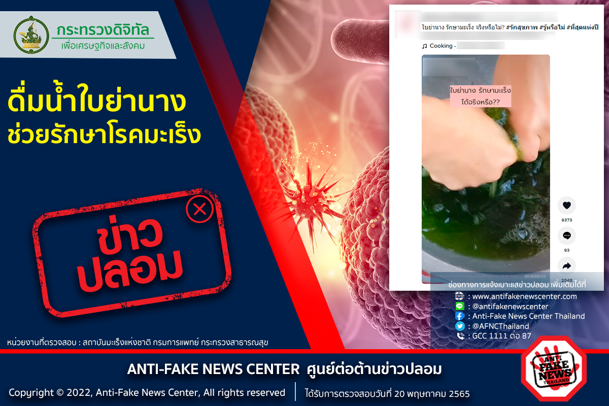 ไขข้อสงสัย “ดื่มน้ำใบย่านาง” ช่วยรักษาโรคมะเร็งได้ จริงหรือไม่? 