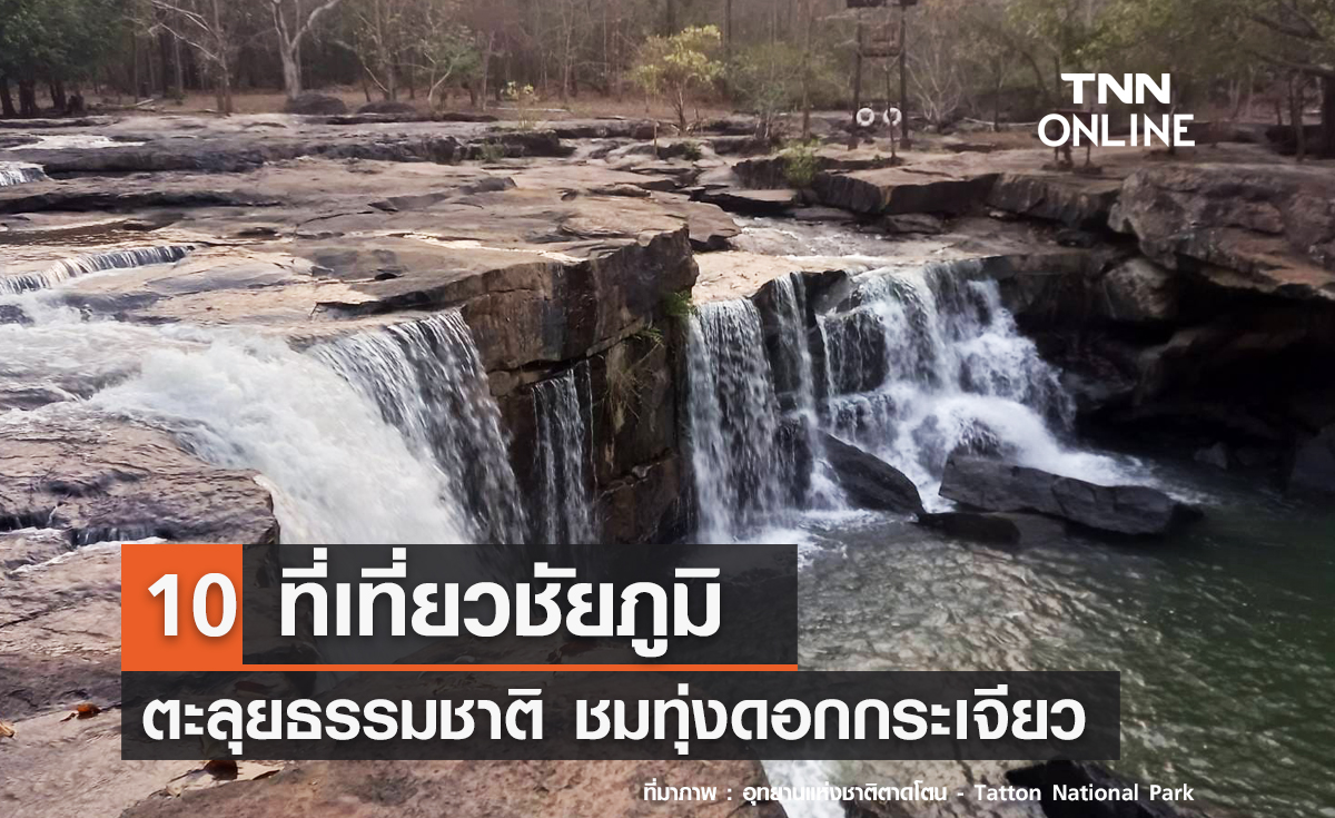 10 ที่เที่ยวชัยภูมิ 2567 ตะลุยธรรมชาติ ชมทุ่งดอกกระเจียว