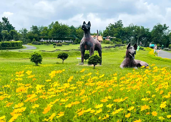 15 ที่เที่ยวตราด 2565 เช็กอินเกาะสวยน้ำทะเลใส