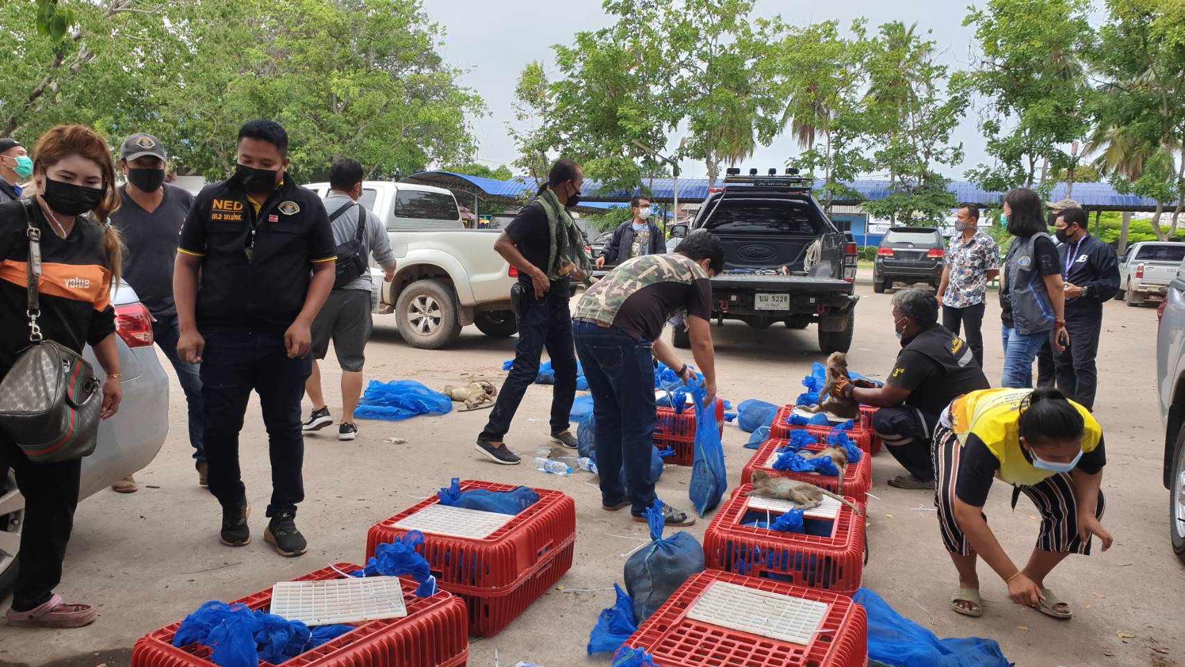 จับขบวนการค้าลิงป่าข้ามชาติ-ส่งขายเมนูเปิบพิสดาร จับขบวนการค้าลิงป่าข้ามชาติ-ส่งขายเมนูเปิบพิสดาร
