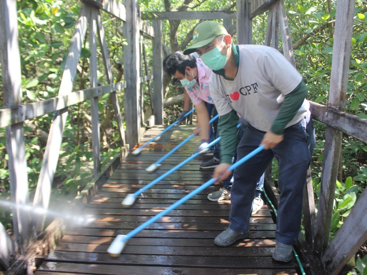 ฟื้นทะเลสะอาดซีพีเอฟ จับมือเครือข่ายชุมชน แก้ปัญหาขยะอย่างยั่งยืน ฟื้นทะเลสะอาดซีพีเอฟ จับมือเครือข่ายชุมชน แก้ปัญหาขยะอย่างยั่งยืน