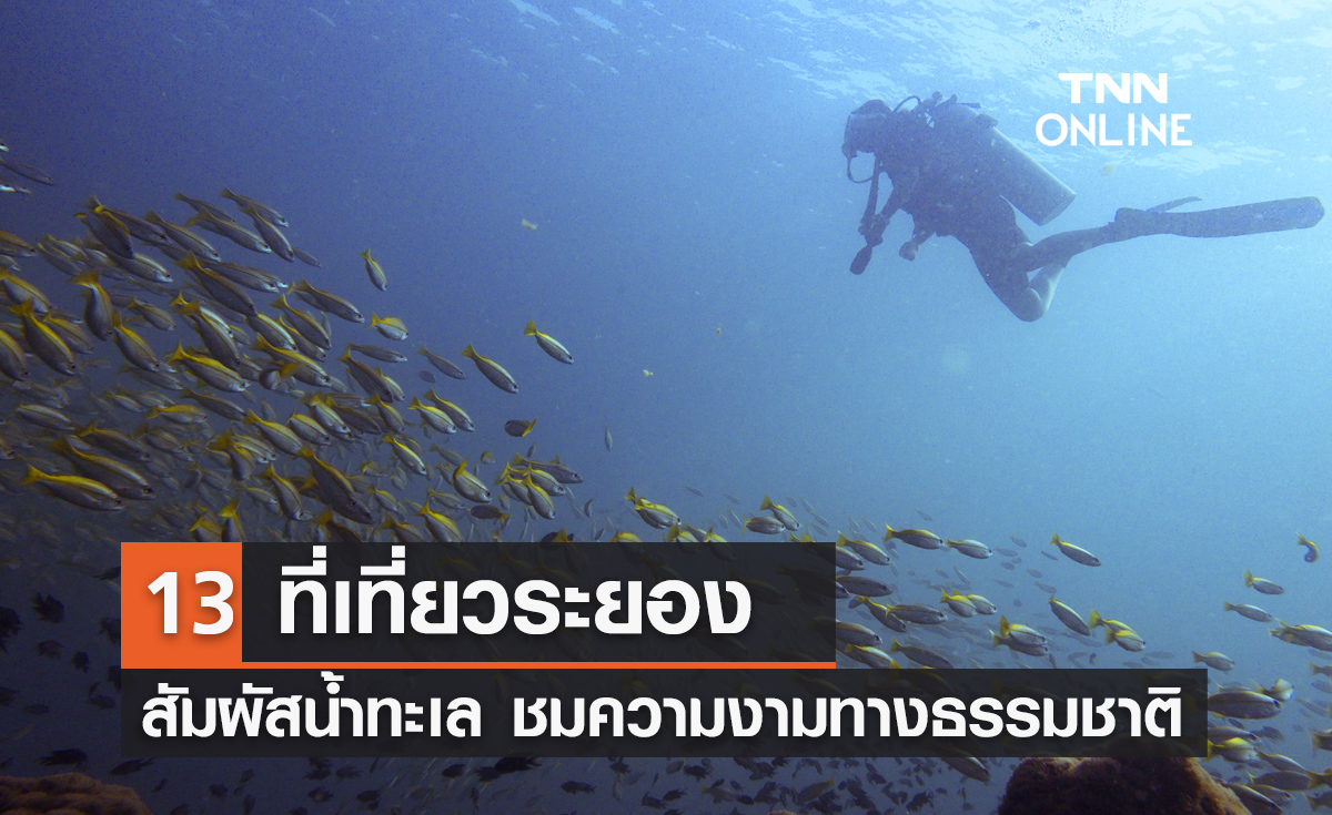 13 ที่เที่ยวระยอง 2567 สัมผัสน้ำทะเล ชมความหลากหลายทางธรรมชาติ