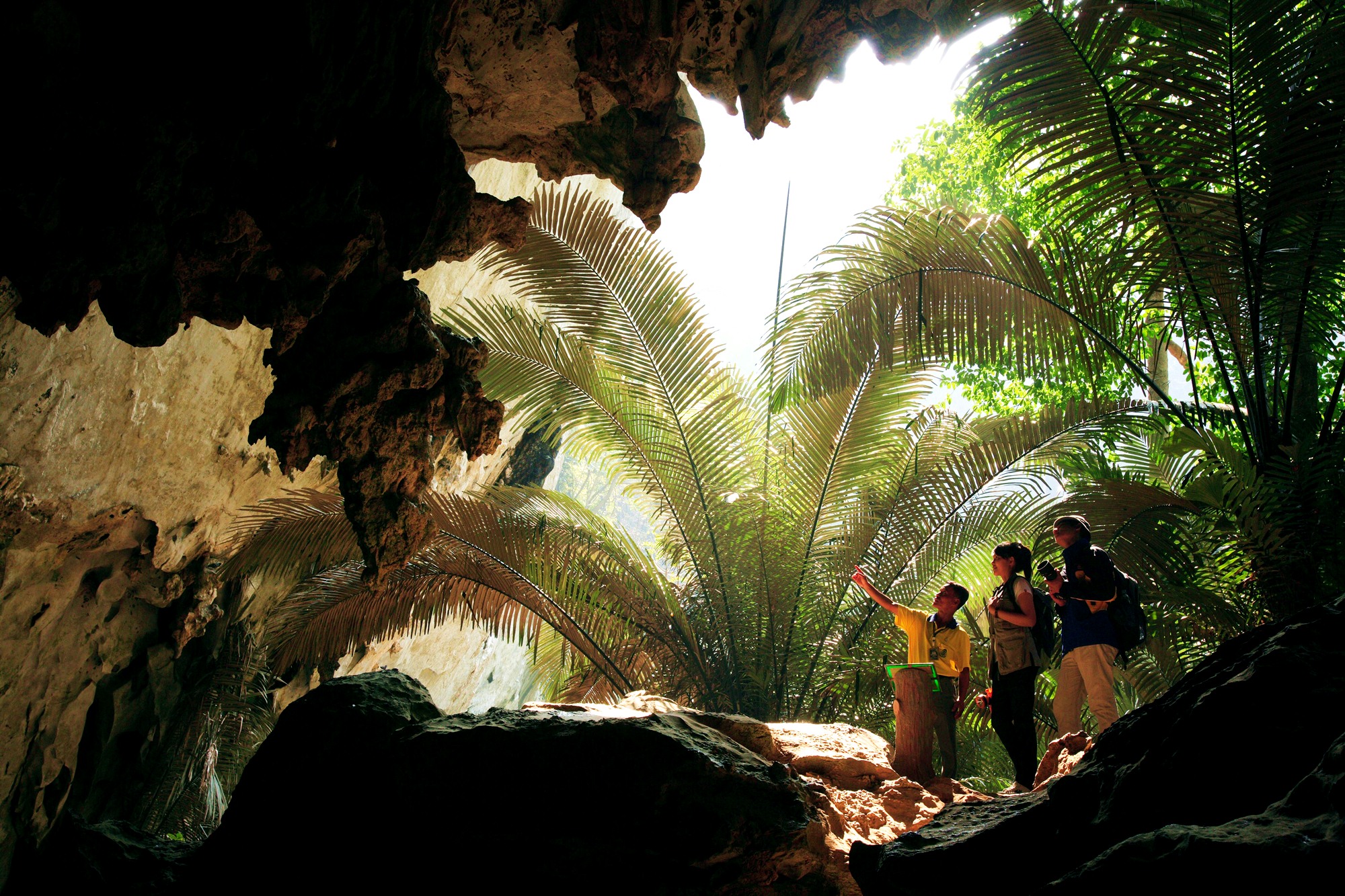 7 ที่เที่ยวอุทัยธานี 2565 ชื่นชมเสน่ห์เมืองรอง มรดกโลกห้วยขาแข้ง