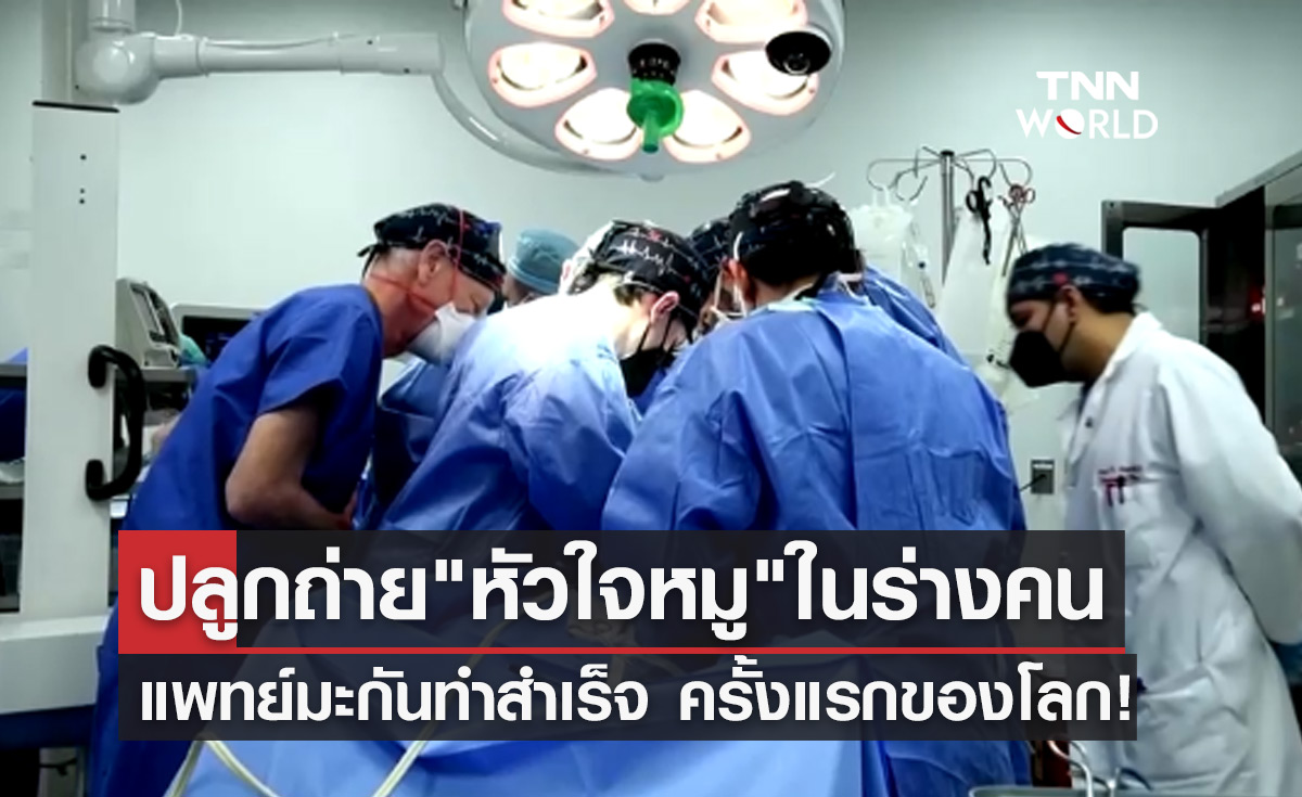 ครั้งแรกของโลก! แพทย์มะกันผ่าตัดปลูกถ่าย "หัวใจหมู" ในมนุษย์สำเร็จ