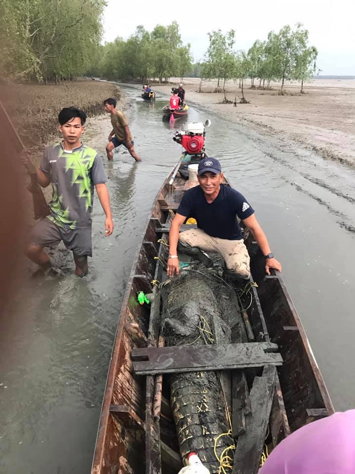 ชาวบ้านตะลึง! เหวี่ยงแหจับจระเข้ยักษ์ยาว 4 เมตร 
