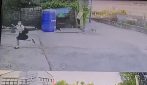 ชีวิตติดเทอร์โบ! นร.สับแหลกหลังโดนหมาไล่กวดทุกวัน