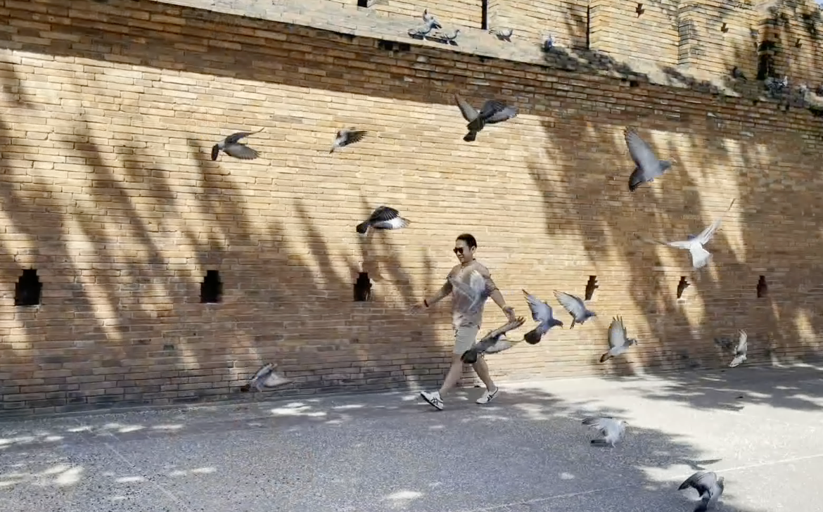 ที่เที่ยวเชียงใหม่ ! จุดแลนมาร์คห้ามพลาด ถ่ายรูปพิราบบินประตูท่าแพ 