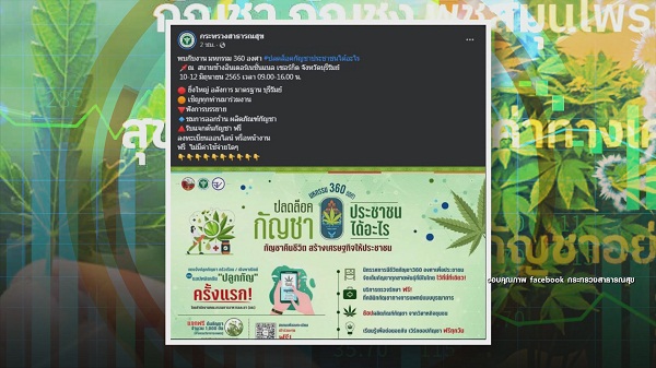 9 มิ.ย. ปลดล็อกกัญชาวันแรก “สรยุทธ-ไบรท์-แทค-โจอี้บอย-มาลีฮวนน่า” ตื่นตัว   (มีคลิป)