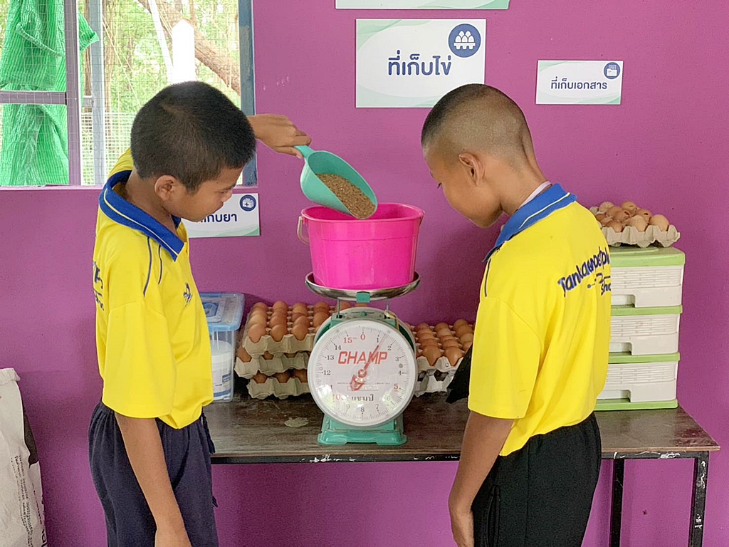 โรงเรียนบ้านแก้วเพชรพลอย จ.สระแก้ว สอนทักษะอาชีพ-สร้างคลังอาหาร “โครงการเลี้ยงไก่ไข่เพื่ออาหารกลางวันนักเรียน”